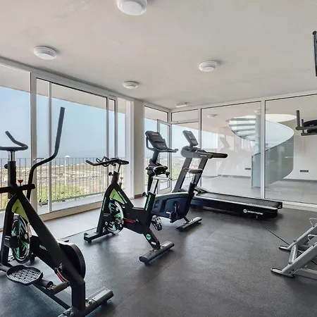 Hébergement de vacances Mirador Del Galeon Costa Adeje (Tenerife)